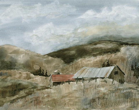 Tin Roof Barns Print